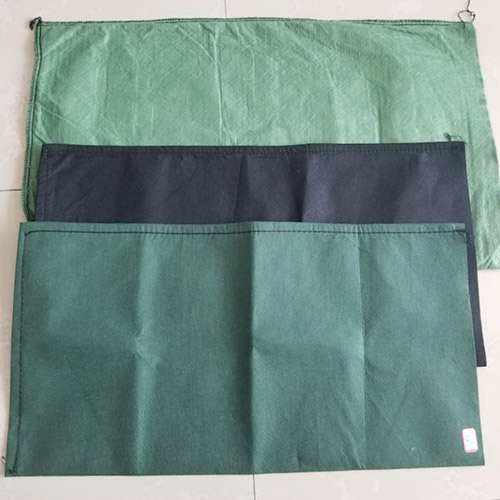 鐢熸佽1 鐢熸佽1